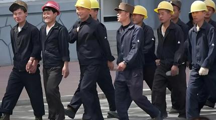 Заменят ли в России корейцы среднеазиатских мигрантов? Заменят ли в России корейцы среднеазиатских мигрантов?