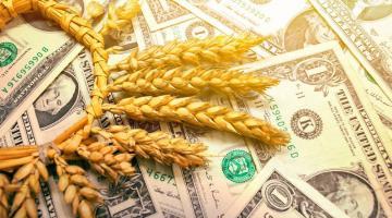 Зерновая сделка: Запад и Украина ожидаемо обманули Россию
