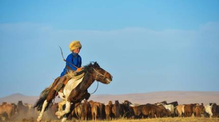 Что потеряла и что хочет найти Америка в дикой монгольской степи