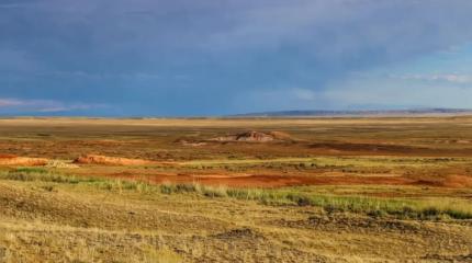 Опустынивание у Каспия нарастает: РФ и РК нужно ускорить сотрудничество