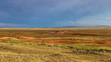 Опустынивание у Каспия нарастает: РФ и РК нужно ускорить сотрудничество