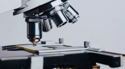 Микроскоп с улучшенной оптической схемой разработали в России Микроскоп с улучшенной оптической схемой разработали в России