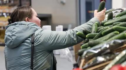 Стало понятно, почему огурец продается по 1000 рублей за килограмм