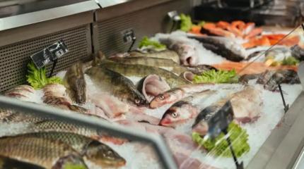 Золотая рыба: в ФАС назвали причину необоснованно высоких цен на продукцию Золотая рыба: в ФАС назвали причину необоснованно высоких цен на продукцию