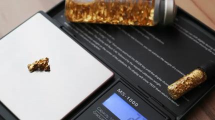 Nordgold будет перерабатывать золотосодержащие бедные руды на руднике «Гросс»