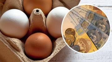 Украинская яичница как деликатес, или Бойтесь данайцев, приносящих яйца