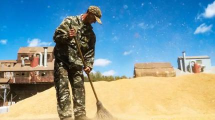Россия и Турция пытаются спасти мировой агрорынок от дурости Зеленского