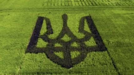 Куда подевалась "аграрная сверхдержава" Украина?