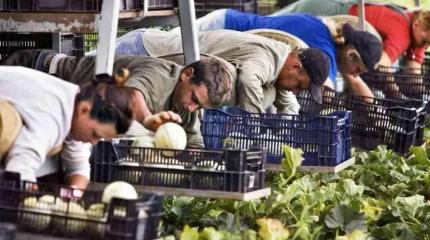 Польша подсчитывает выгоду от войны на Украине