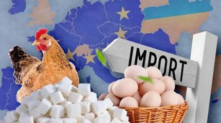 ЕС и Польша против украинских продуктов