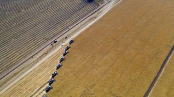 Рост мировых цен на пшеницу: Россия получит наибольшую выгоду