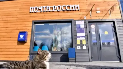Спасение «Почты России»: в РФ поддержат убыточного гиганта за счёт россиян Спасение «Почты России»: в РФ поддержат убыточного гиганта за счёт россиян