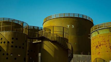 Аварийный сброс: спасительной нефти у МЭА только на неделю