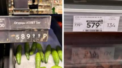Овощ для богатых: что происходит с ценами на огурцы