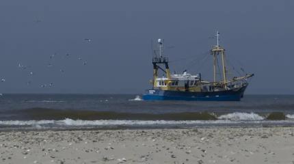 Россия открыла двери своим рыбакам в атлантические воды Марокко