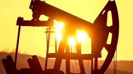 Всё из-за Трампа: Российские нефтегазовые компании резко урежут дивиденды