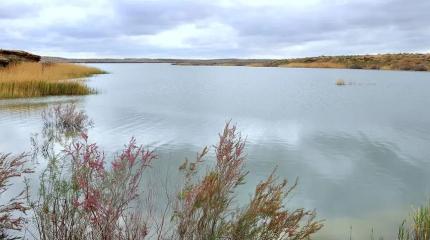 Проект переброса стока сибирских рек в Центральную Азию вызывает сомнения