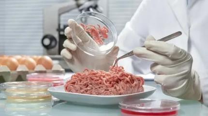 Вернуть советские ГОСТы: правительство жестко спросит за качество продуктов