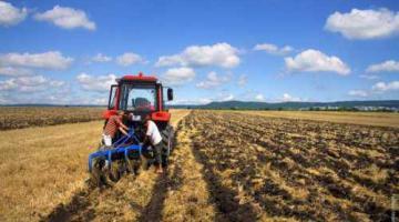 Независимая Украина на пути к «аграрной сверхдержаве»