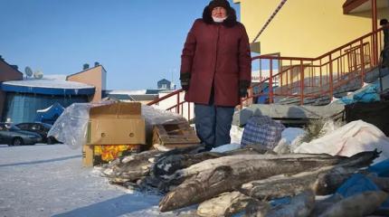 Запретный лов сладок: «умно придумано — заплати 70 083 рубля и кушай» Запретный лов сладок: «умно придумано — заплати 70 083 рубля и кушай»