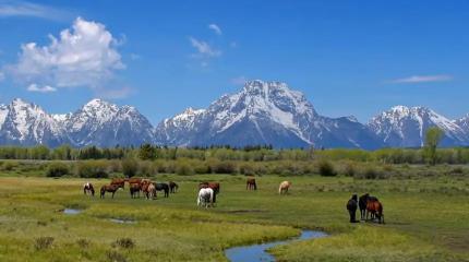 Власти РК возвращают земли в госсобственность. Всегда ли оптимально?