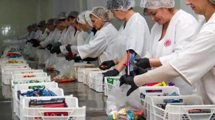 Новая Россия готовит подарки и укрепляет свободную экономическую зону