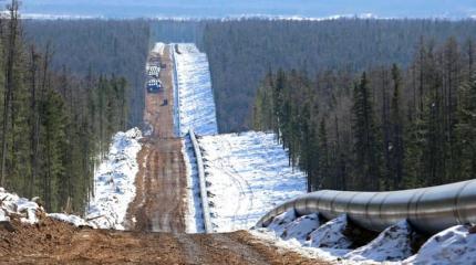 Антироссийские санкции действуют, но Европа получает немало товаров из РФ