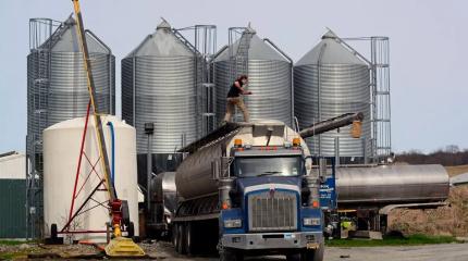 Защиту глобального рынка продовольствия от кризиса проедают каждый день