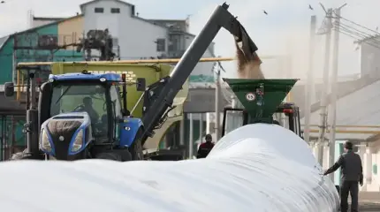Зерновая катастрофа: России впору жечь пшеницу в котельных