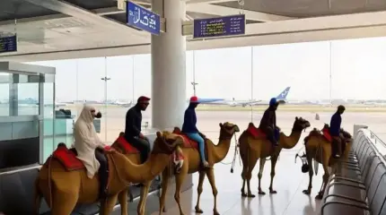 Спецрейс на ишаке: туристам в ОАЭ предложили альтернативу самолётам