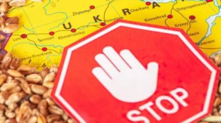 NZZ: Европейские фермеры в выигрыше – ЕС вновь вводит квоты для Украины