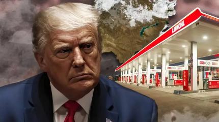 Трампу предложили забрать активы «Лукойла» без денег