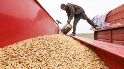 Российских фермеров душат постепенно