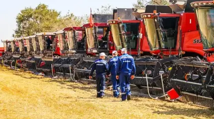 В битве за урожай есть потери. На государство надежды нет