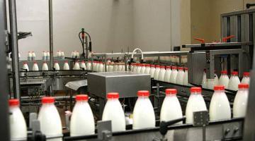 Производители молока ЕС могут временно поднять цену на свою продукцию