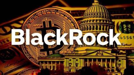 Blackrock берет под свой контроль государства и центробанки