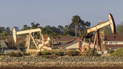 Индийские НПЗ на пару с американцами разделят венесуэльскую добычу Трампа