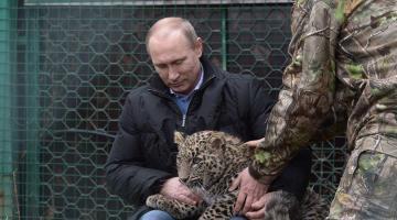 Владимир Путин распорядился потратить на защиту природы огромные деньги