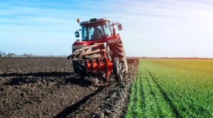 Заморозки нанесли серьёзный удар: в РФ раскрыли масштаб убытков аграриев Заморозки нанесли серьёзный удар: в РФ раскрыли масштаб убытков аграриев