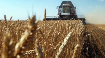Таможенные пошлины лишают аграриев дохода, несмотря на рекордный урожай