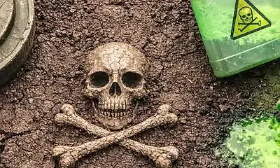 Западные ТНК уничтожили знаменитые черноземы Украины