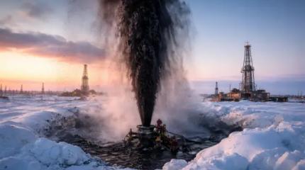 Россия откопала «золотую чашу»: Европа в ярости от ямальской находки