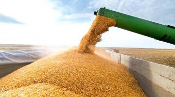 Последствия выхода России из «зерновой сделки» для Украины