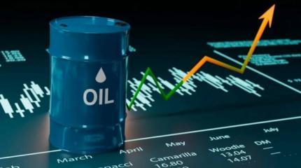 Санкции не лишили РФ денег на СВО – 75% нефти продается дороже «потолка»