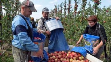 Безвиз вымывает из Украины трудовые ресурсы