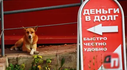 Долги списать, конторы закрыть: россиянам приготовили приятный сюрприз Долги списать, конторы закрыть: россиянам приготовили приятный сюрприз