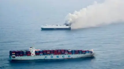 Во имя чего в Тихом океане горят 3000 жертв зеленого безумия Во имя чего в Тихом океане горят 3000 жертв зеленого безумия