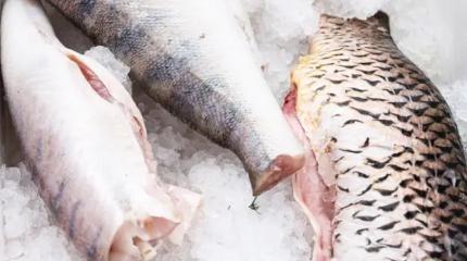 Какой рыбный четверг! Судак, сазан и лещь с корюшкой давно дороже курицы