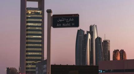 Дорогостоящее фиаско: саудовский город-мечта размером с Бельгию разбился о реальность