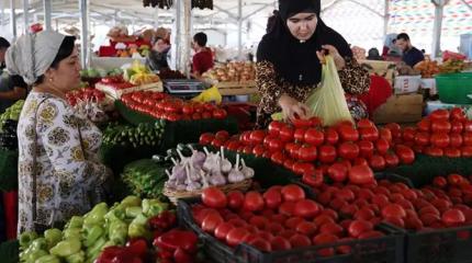 Россельхознадзор отлавливает моль из Узбекистана